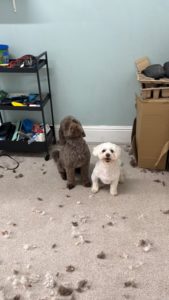 1B6FFBA9-0B4A-4C44-9A27-CE9B79DA7D03