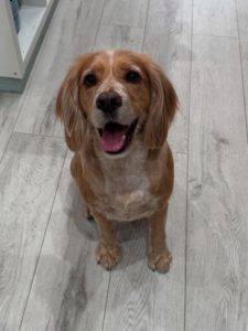 A040D6D8-69B9-4870-996B-FE79B5481E59